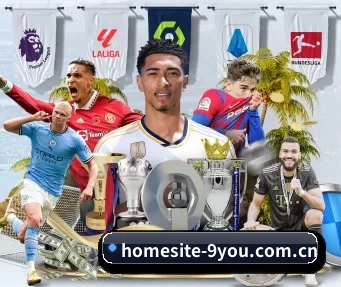 homesite-9you.com.cn APP